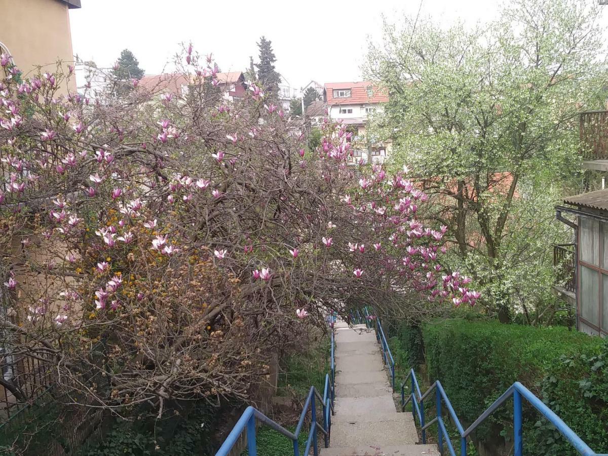 Apartamento Oliva 4 Stars Zagreb Exterior foto